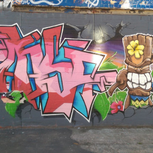 Sylvester Gardens Graffiti (Spring 2016)